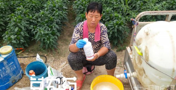 兑好的农药多长时间失效