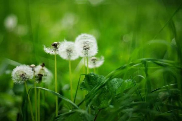 一个连分手都不愿意说的男人