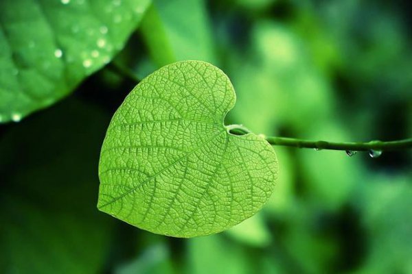 一个连分手都不愿意说的男人