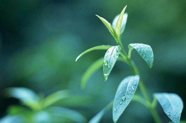 一个连分手都不愿意说的男人