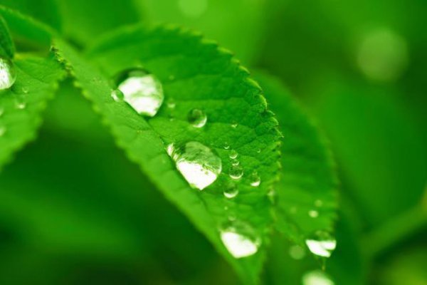 一个连分手都不愿意说的男人