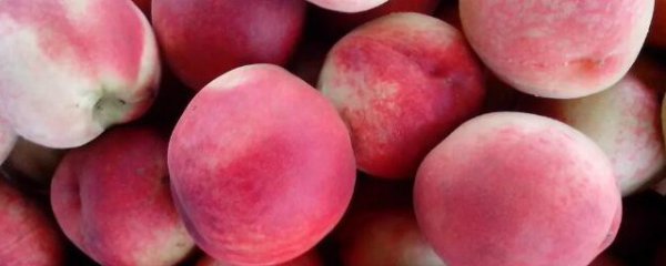 毛桃怎么制作最好吃