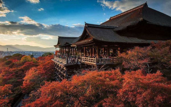 学日语就业前景怎么样