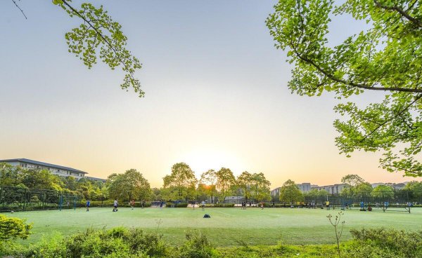 重庆大学学科评估的结果