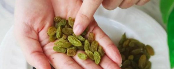 葡萄干可以天天吃吗