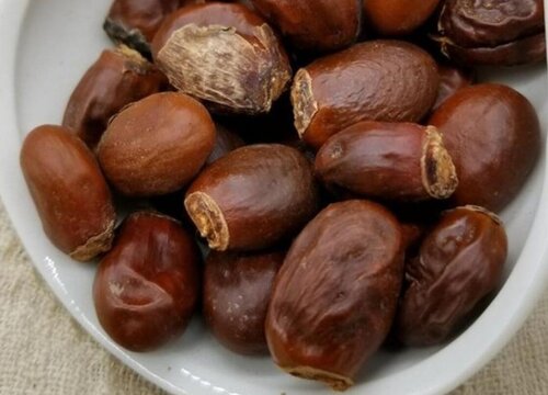 荔枝种子怎么发芽快