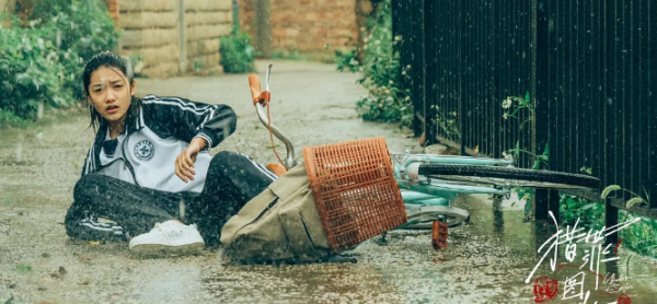 2023电视剧排名最火的前十位