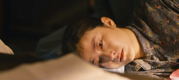 2023电视剧排名最火的前十位