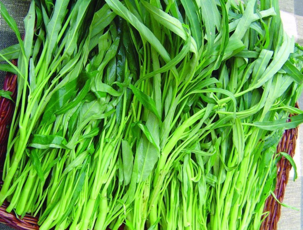 空心菜为什么叫痛风菜