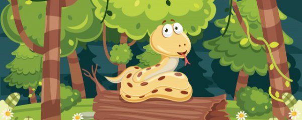 属蛇家里摆放什么物件