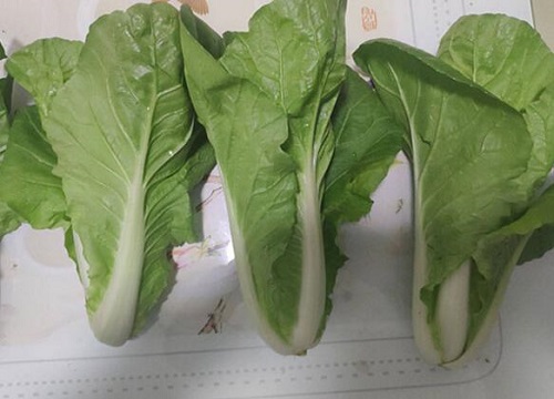 小白菜怎么洗才干净