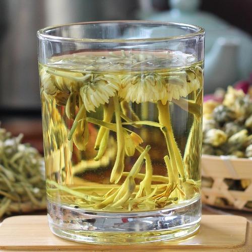 适合家里养的花有哪些