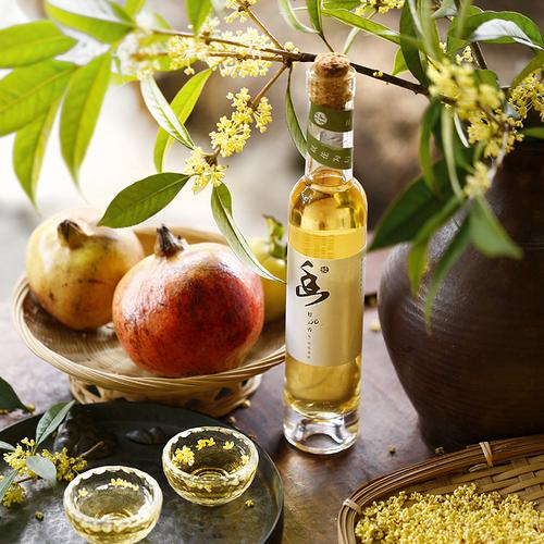 适合家里养的花有哪些