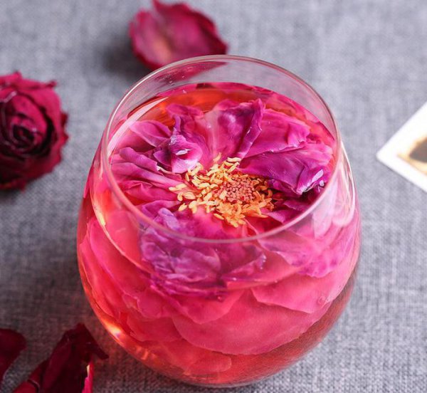 适合家里养的花有哪些