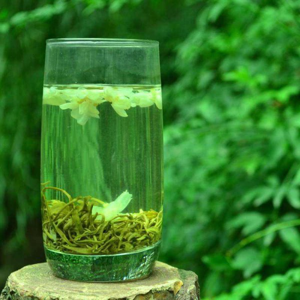 适合家里养的花有哪些