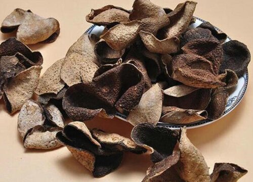 陈皮产地排名前十的品牌