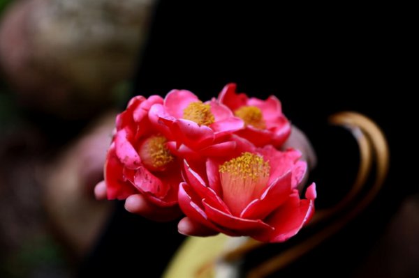 怎么判断一个男人真实人品