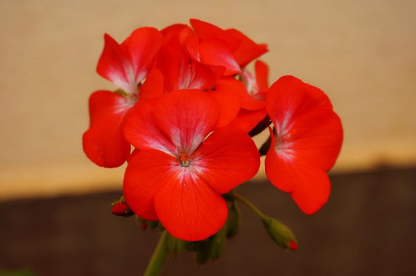 怎么判断一个男人真实人品