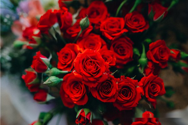 怎么判断一个男人真实人品