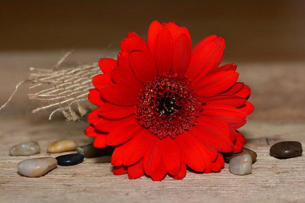 怎么判断一个男人真实人品