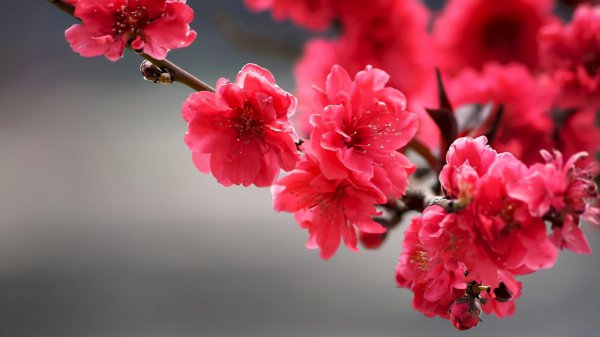 怎么判断一个男人真实人品