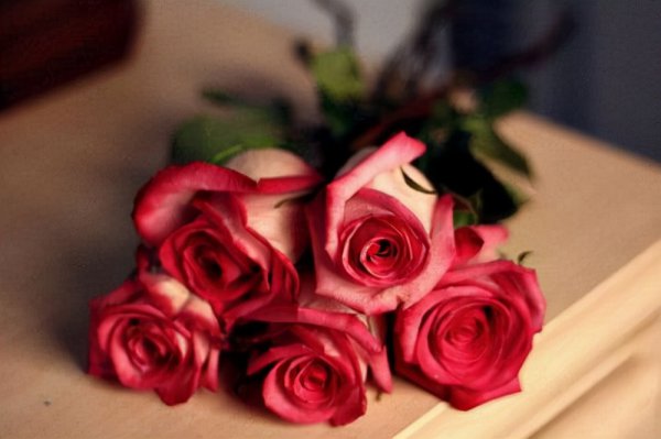 怎么判断一个男人真实人品