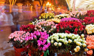 风水家里摆什么花好 风水家里可以摆放哪些花