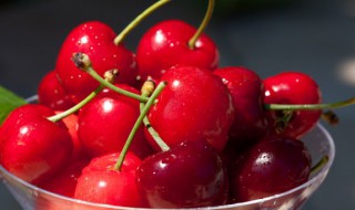 新鲜的樱桃怎么保存 新鲜樱桃的保存方法介绍