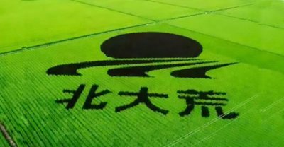 北大仓是指我国哪个省 如今为什么要将北大仓退耕还荒