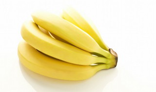 香蕉适合什么地方种植 香蕉适合种植的地方