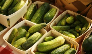 夏天适合种什么蔬菜 适合夏天种的菜