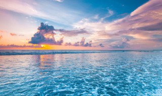 大海里有什么 大海的简介