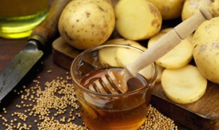 土豆和羊肉可以一起吃吗 土豆和羊肉能一起吃吗