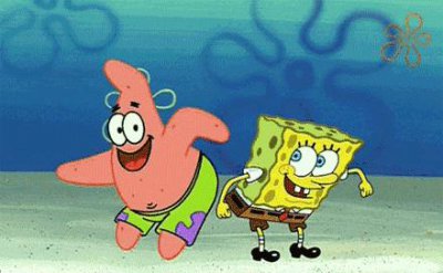 小水母怎么养 海洋馆送的小水母怎么养有什么注意事项