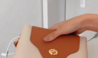 浅色皮包怎么清洗 浅色皮包如何清洗