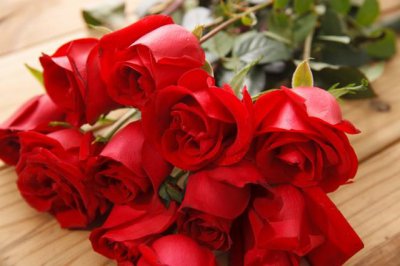 玫瑰花语每种颜色代表什么花语 玫瑰花有几种常见颜色