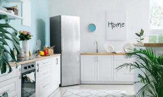 家居防虫处理方法 家具防虫技巧有哪些