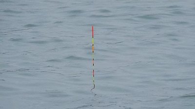 怎样调鱼漂调漂最准确 新手如何能做到又快又准调鱼漂