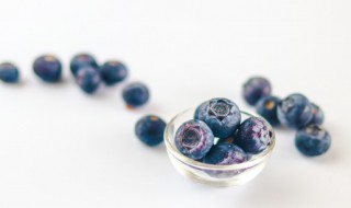 蓝莓简单种植的方法 如何种植蓝莓