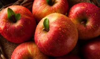 苹果能和酸奶一起吃吗 苹果和酸奶可以一起吃吗