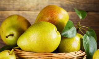 梨树怎么养才能更旺盛 梨树如何养才能更旺盛