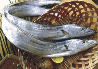 深海鱼有哪些品种 市场上常见的深海鱼品种大全及名字