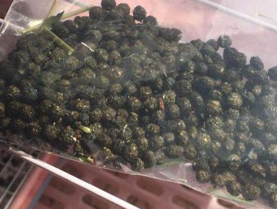 兔子粪便可以当肥料吗 兔子的屎能不能直接用来当肥料