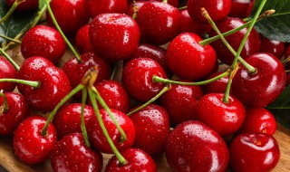 樱桃长途运输怎么保鲜 樱桃应如何贮运保鲜呢