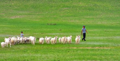 中国四大草原介绍 国内最美的4大草原资料介绍