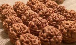 佩戴金刚菩提子有什么好处 佩戴金刚菩提子对身体的功效