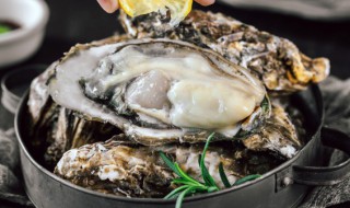 小孩吃生蚝的好处和坏处 小孩吃生蚝有哪些好处和坏处