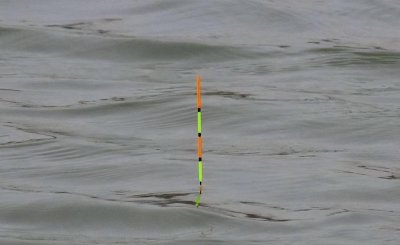 顶漂不中鱼什么原因 为什么会出现浮漂上顶却不中鱼的情况