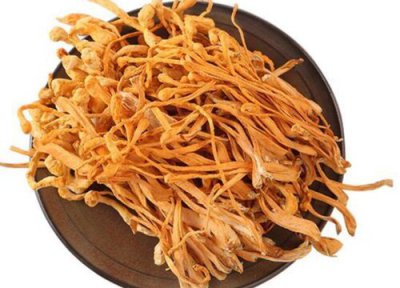 冬虫草花的功效与作用及食用方法 虫草吃法与禁忌