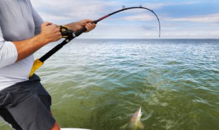 怎样判断钓鱼是否正常 如何判断钓鱼是否正常